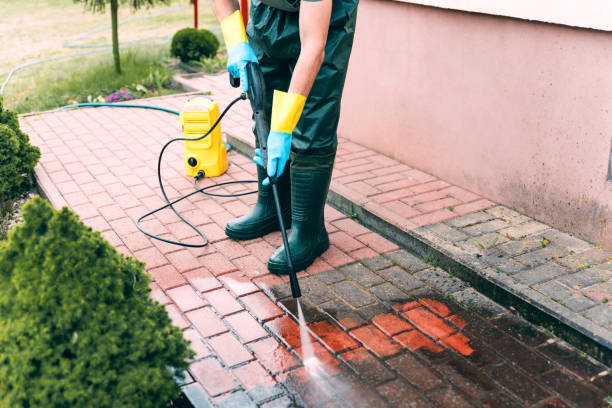 Animal Enclosure Cleaning in Pottsboro, TX